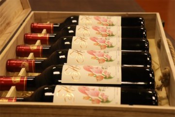 代理哪种法国进口红酒草莓视频大全适合