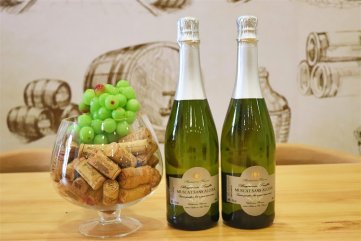 开家红酒代理草莓视频APP免费店有什么要求